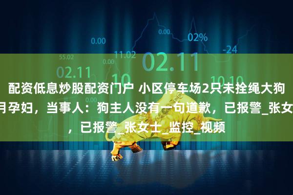 配资低息炒股配资门户 小区停车场2只未拴绳大狗叫着冲向6个月孕妇，当事人：狗主人没有一句道歉，已报警_张女士_监控_视频