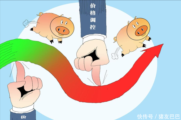 股票配资知识网首选 2025.5.4-明日猪价（下跌！北方行情冲高回落！）