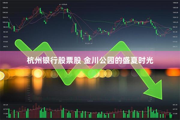 杭州银行股票股 金川公园的盛夏时光